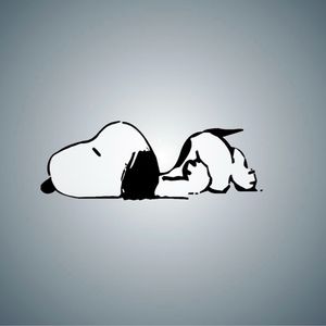 Meet your Posher, Jocelyn